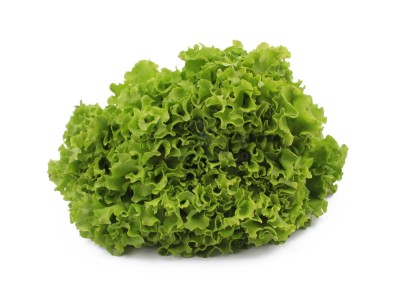 Салат айсберг 300 г - купить в Находке